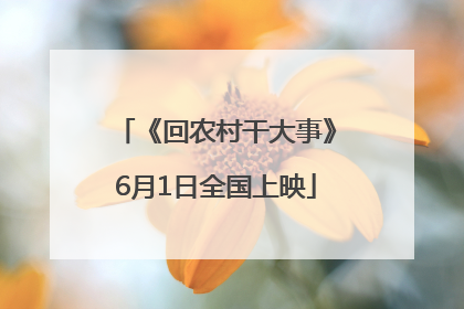 《回农村干大事》6月1日全国上映