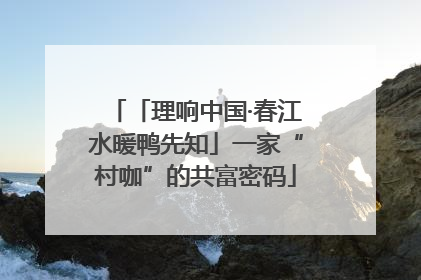 「理响中国·春江水暖鸭先知」一家“村咖”的共富密码
