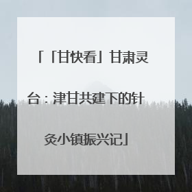「甘快看」甘肃灵台：津甘共建下的针灸小镇振兴记