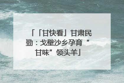「甘快看」甘肃民勤：戈壁沙乡孕育“甘味”领头羊
