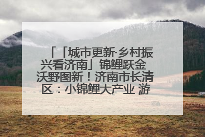 「城市更新·乡村振兴看济南」锦鲤跃金 沃野图新！济南市长清区：小锦鲤大产业 游出农旅新风景