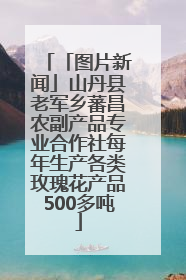 「图片新闻」山丹县老军乡蕃昌农副产品专业合作社每年生产各类玫瑰花产品500多吨