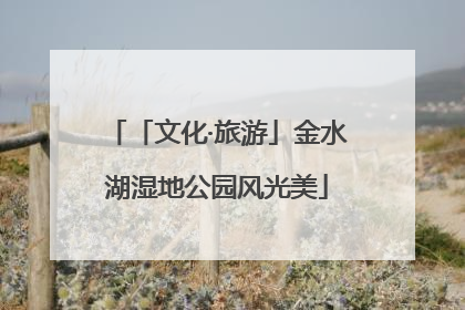 「文化·旅游」金水湖湿地公园风光美