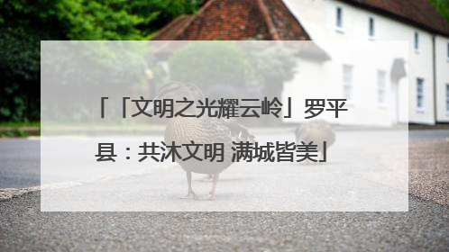 「文明之光耀云岭」罗平县：共沐文明 满城皆美