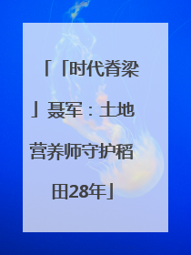 「时代脊梁」聂军：土地营养师守护稻田28年