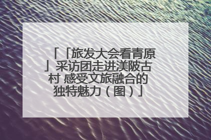 「旅发大会看青原」采访团走进渼陂古村 感受文旅融合的独特魅力（图）