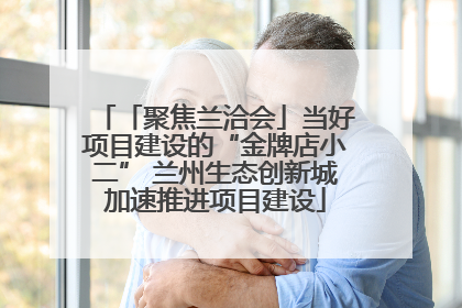 「聚焦兰洽会」当好项目建设的“金牌店小二” 兰州生态创新城加速推进项目建设
