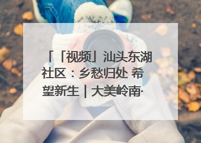 「视频」汕头东湖社区：乡愁归处 希望新生｜大美岭南·百村焕新记
