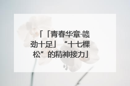 「青春华章·赣劲十足」“十七棵松”的精神接力
