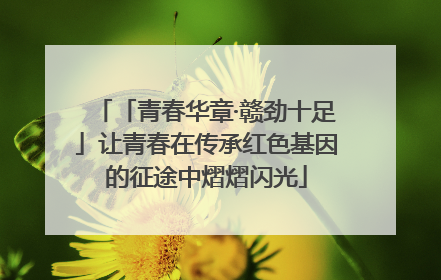 「青春华章·赣劲十足」让青春在传承红色基因的征途中熠熠闪光