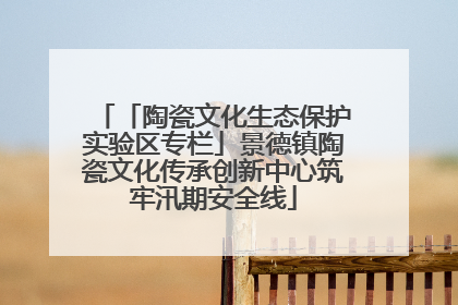 「陶瓷文化生态保护实验区专栏」景德镇陶瓷文化传承创新中心筑牢汛期安全线