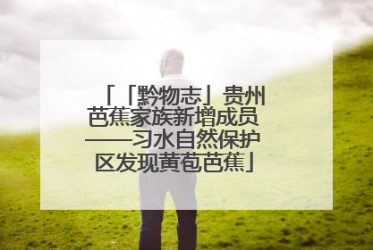 「黔物志」贵州芭蕉家族新增成员——习水自然保护区发现黄苞芭蕉