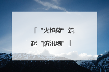 “火焰蓝”筑起“防汛墙”