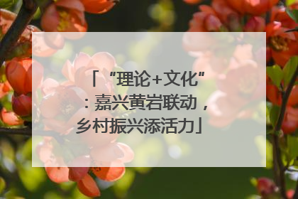 “理论+文化”：嘉兴黄岩联动，乡村振兴添活力