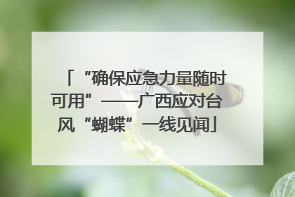 “确保应急力量随时可用”——广西应对台风“蝴蝶”一线见闻