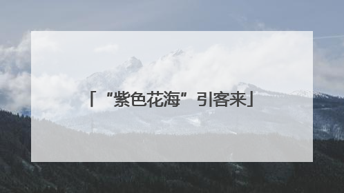 “紫色花海”引客来
