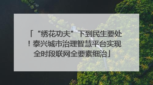 “绣花功夫”下到民生要处！泰兴城市治理智慧平台实现全时段联网全要素细治