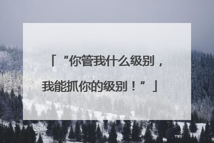 “你管我什么级别，我能抓你的级别！”