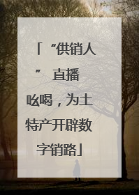 “供销人” 直播 吆喝，为土特产开辟数字销路