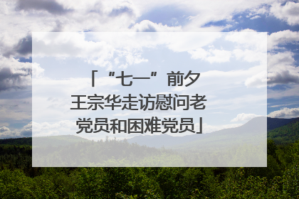 “七一”前夕 王宗华走访慰问老党员和困难党员