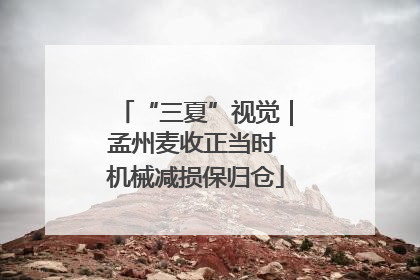 “三夏”视觉｜孟州麦收正当时 机械减损保归仓