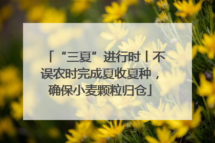 “三夏”进行时丨不误农时完成夏收夏种，确保小麦颗粒归仓