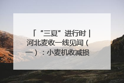 “三夏”进行时｜河北麦收一线见闻（一）：小麦机收减损“竞技” 农机高手麦田“过招”
