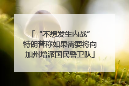 “不想发生内战” 特朗普称如果需要将向加州增派国民警卫队