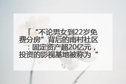 “不论男女到22岁免费分房”背后的南村社区：固定资产超20亿元，投资的影视基地被称为“山村好莱坞”