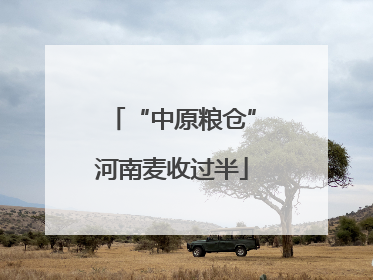 “中原粮仓”河南麦收过半