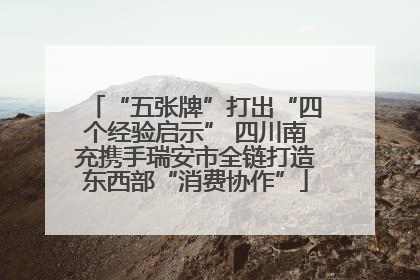 “五张牌”打出“四个经验启示” 四川南充携手瑞安市全链打造东西部“消费协作”
