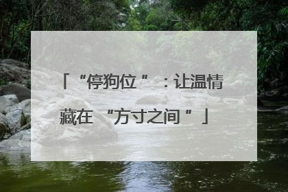“停狗位 ”：让温情藏在 “方寸之间 ”