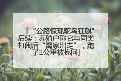 “公路惊现鸵鸟狂飙”后续:养殖户称它与同类打闹后“离家出走”,跑了1公里被找回