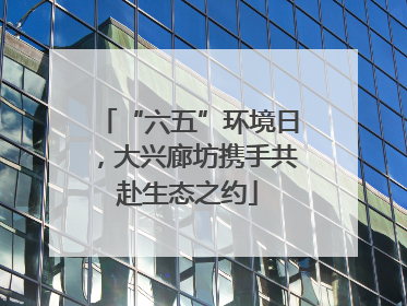 “六五”环境日，大兴廊坊携手共赴生态之约