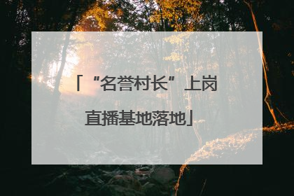 “名誉村长”上岗 直播基地落地