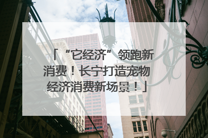 “它经济”领跑新消费！长宁打造宠物经济消费新场景！