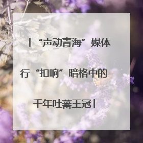 “声动青海”媒体行“扣响”暗格中的千年吐蕃王冠