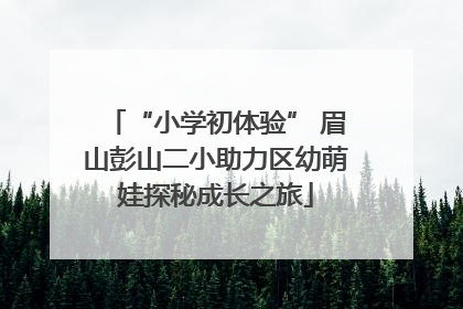 “小学初体验” 眉山彭山二小助力区幼萌娃探秘成长之旅
