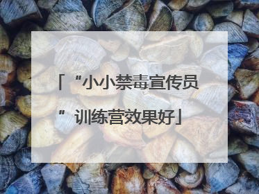 “小小禁毒宣传员”训练营效果好