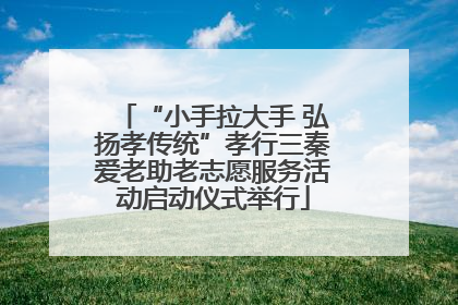 “小手拉大手 弘扬孝传统”孝行三秦爱老助老志愿服务活动启动仪式举行