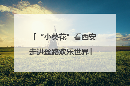 “小葵花”看西安走进丝路欢乐世界