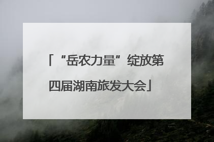 “岳农力量”绽放第四届湖南旅发大会