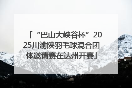 “巴山大峡谷杯”2025川渝陕羽毛球混合团体邀请赛在达州开赛