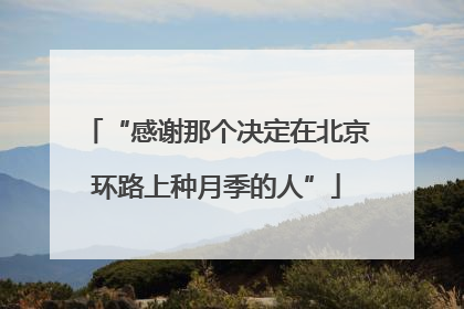 “感谢那个决定在北京环路上种月季的人”