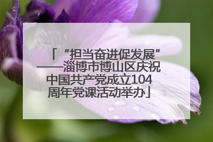 “担当奋进促发展”——淄博市博山区庆祝中国共产党成立104周年党课活动举办