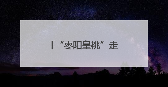 “枣阳皇桃”走进高校毕业季