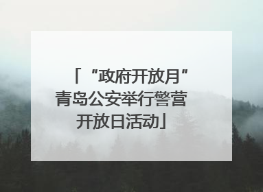 “政府开放月”青岛公安举行警营开放日活动