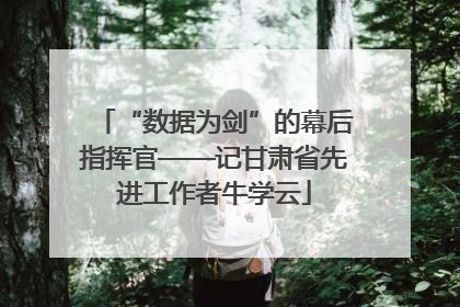 “数据为剑”的幕后指挥官——记甘肃省先进工作者牛学云