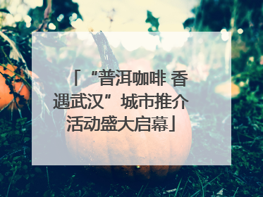 “普洱咖啡 香遇武汉”城市推介活动盛大启幕