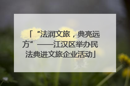 “法润文旅，典亮远方”——江汉区举办民法典进文旅企业活动